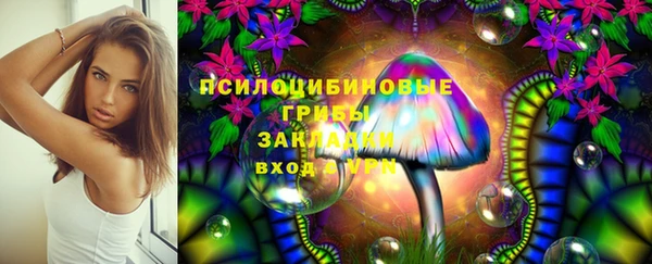 jwh Абаза